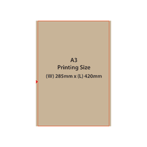 A3